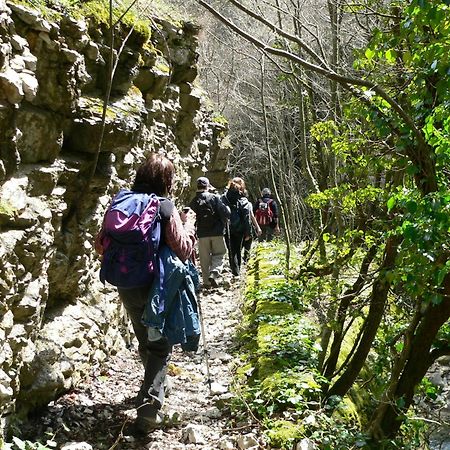 Affittacamere Casa Zia Cianetta Residenza di Campagna Capodacqua  Esterno foto
