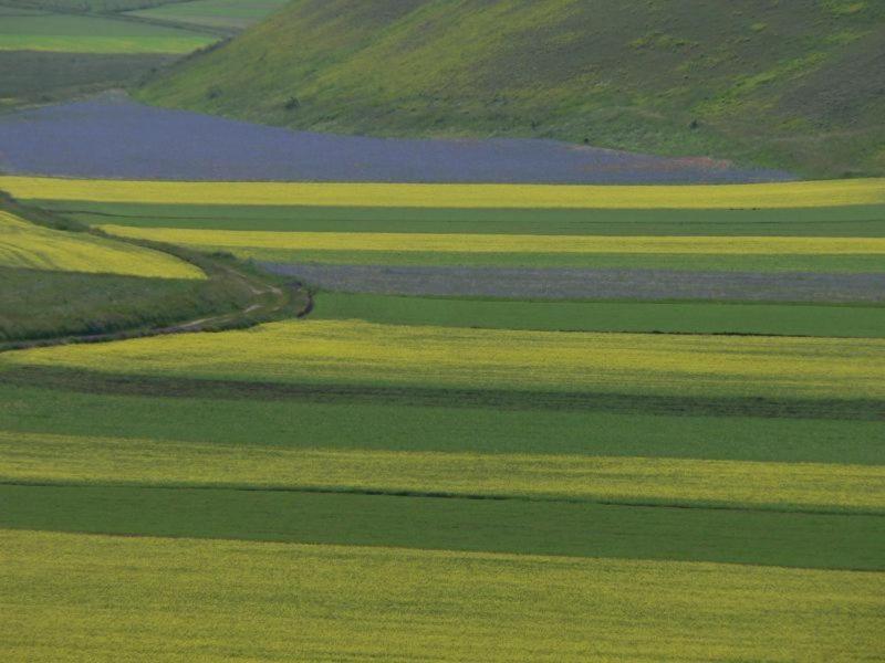 Affittacamere Casa Zia Cianetta Residenza di Campagna Capodacqua  Esterno foto
