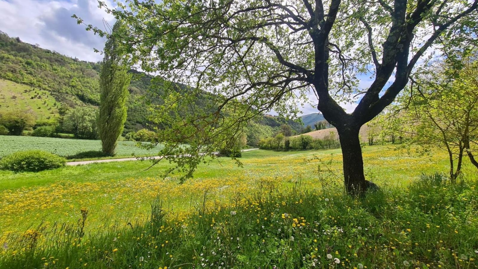 Affittacamere Casa Zia Cianetta Residenza di Campagna Capodacqua  Esterno foto
